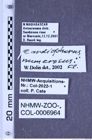 Etiketten zu Cardiophorus numerosus (Fleutiaux, 1933) (NHMW-ZOO-COL-0006964)